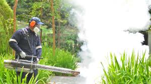 Best Fumigation Services  in Corralitos, CA